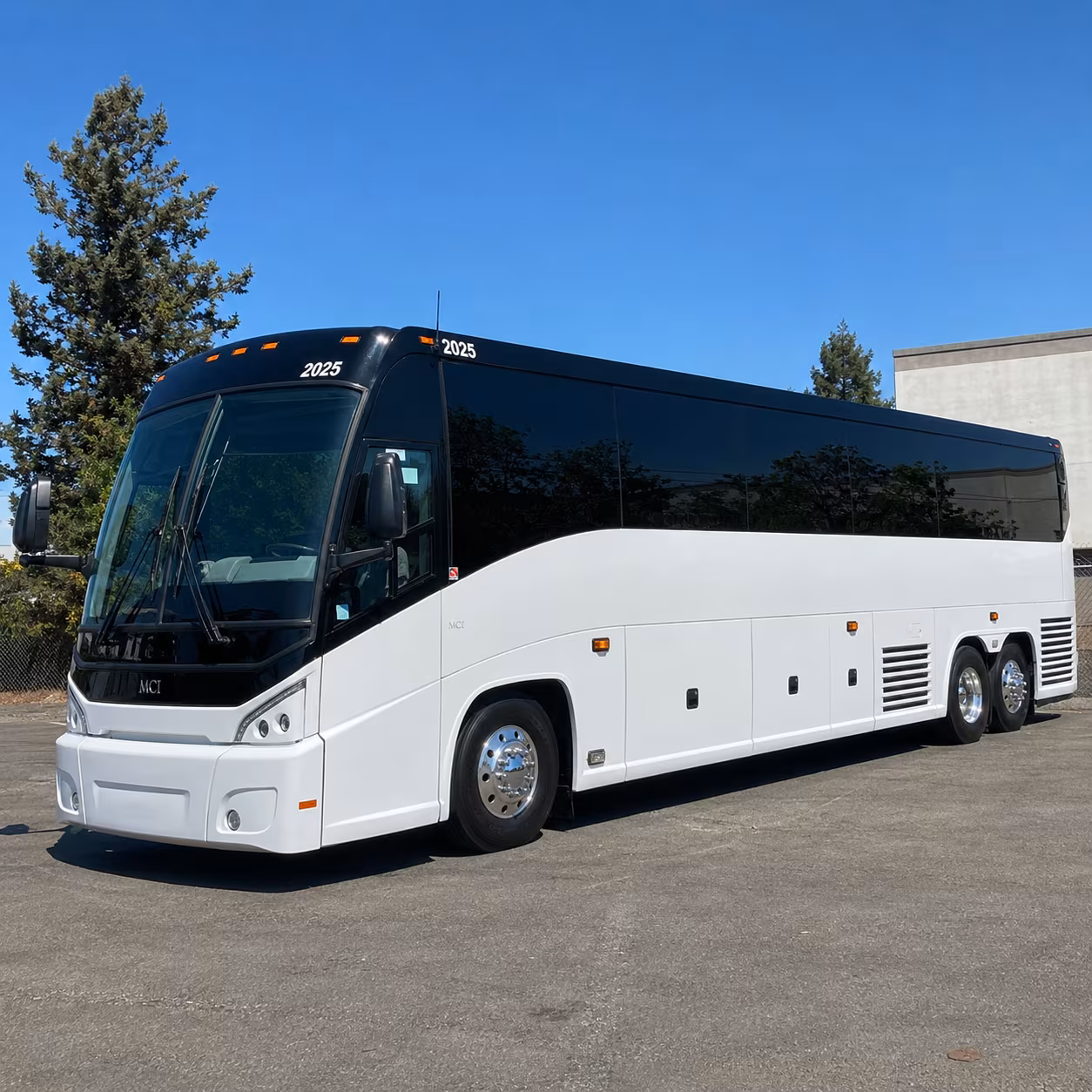 lone star rally and mardi gras galveston book your bus before the island fills up