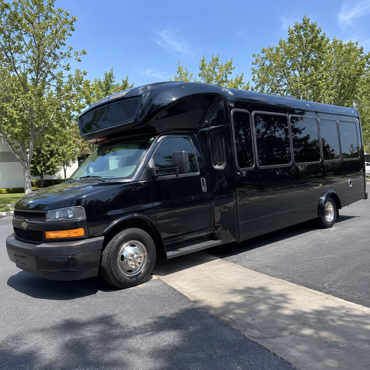 texas city 15 passenger party bus